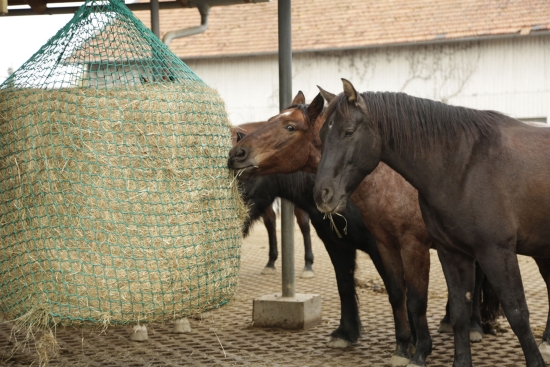 Hay Net for Round Bales for hanging, 125x160cm, 4.5cm 153476_mood01_321605+22.jpg