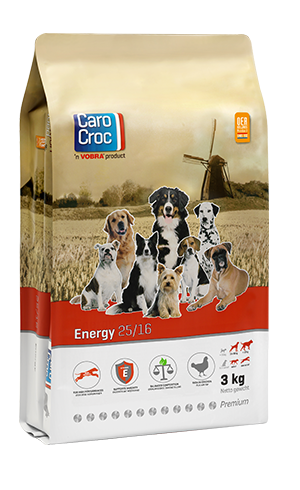 CaroCroc Dog Energy