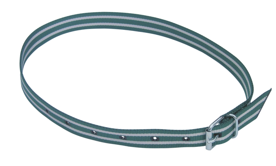 Halsmerkband, 120 cm groen/wit, rolgesp