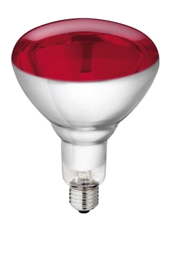 Lamp van gehard glas &quot;Philips&quot; 250W 240V, rood