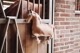 [KEN_82104] paardenspeeltje 'pony'