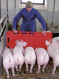 [KER_22123] Pig herding board red 126 x 76 cm